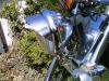 dsc00276_t1.jpg