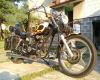 dsc00473_zmniejszacz-pl_4246_t1.jpg