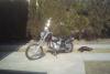 dsc03643_t1.jpg