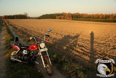 osiowaty_zmniejszacz-pl_82238.jpg